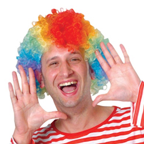 Clown Wig<br>Each